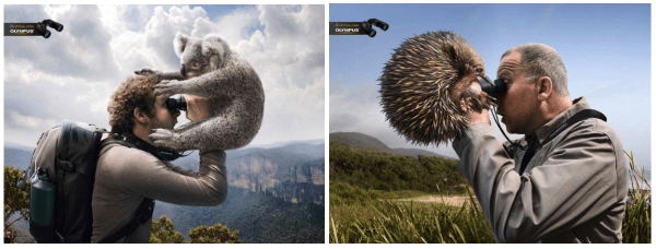 Как сделать привлекательный креатив в таргетированной рекламе: советы и примеры