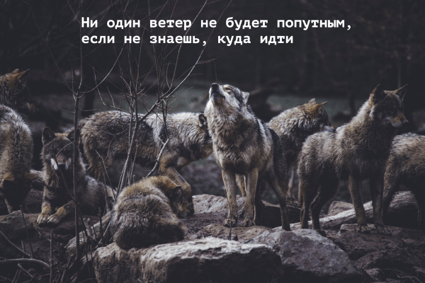 Как легко внедрить CRM-систему в рабочие процессы