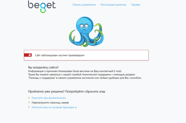 Как ранжируются сайты в тематике криптовалют