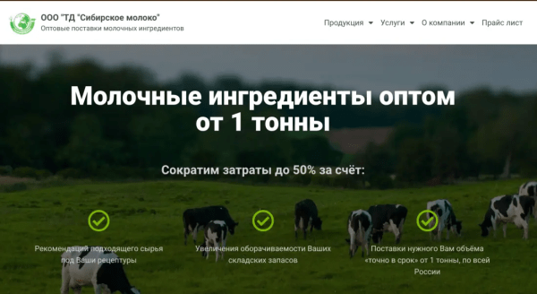 
            Как сэкономить 3 000 000 руб на создании сайта
        