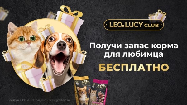 Как за месяц снизить стоимость заявок в среднем в пять раз и увеличить продажи по промокодам на 17%. Кейс Как за месяц снизить стоимость заявок в среднем в пять раз и увеличить продажи по промокодам на 17%. Кейс