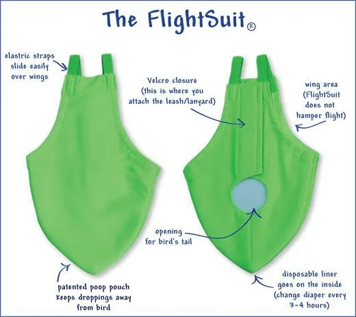 
            Как сэкономить 3 000 000 руб на создании сайта
        