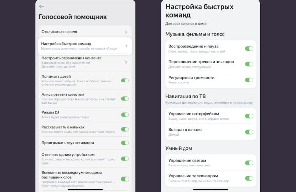 
            Алиса научилась понимать быстрые команды
        