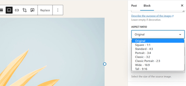 Что появится в WordPress 6.3: превью планируемых нововведений и улучшений Что появится в WordPress 6.3: превью планируемых нововведений и улучшений