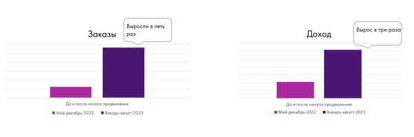 
            Столплит: успех российского бренда на маркетплейсах
        