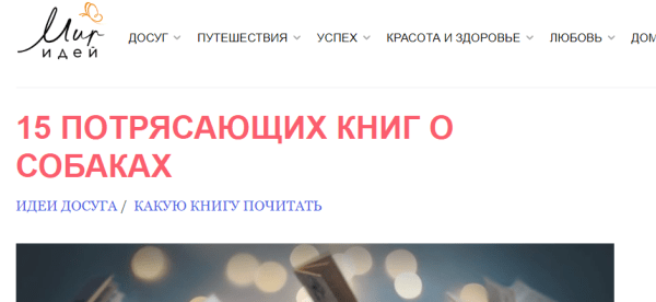 Как ранжируются сайты в тематике «Книги»